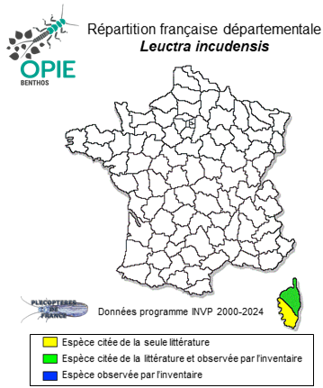 Carte de distribution de Leuctra incudensis Vinçon & Ravizza, 2000 *