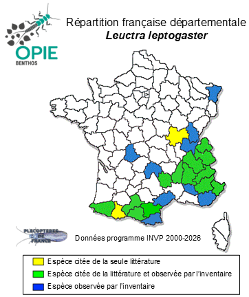 Carte de distribution de Leuctra leptogaster Aubert, 1949