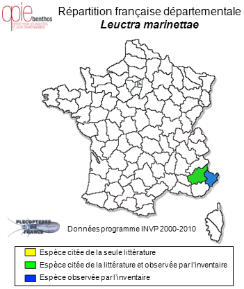 Carte de distribution de Leuctra marinettae Ravizza & Vinçon, 1989 *