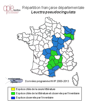 Carte de distribution de Leuctra pseudocingulata Mendl, 1968