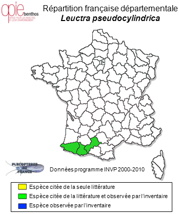 Carte de distribution de Leuctra pseudocylindrica Despax, 1929 *