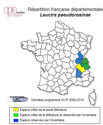 Carte de distribution de Leuctra pseudorosinae Aubert, 1954 *