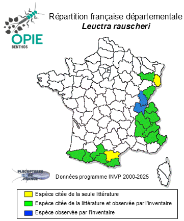 Carte de distribution de Leuctra rauscheri Aubert, 1957