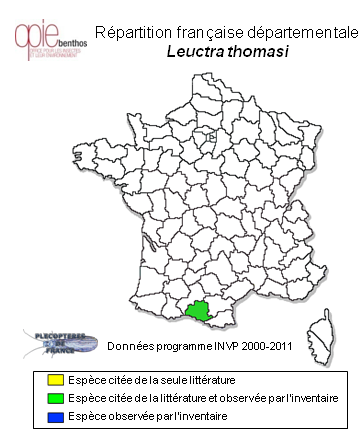 Carte de distribution de Leuctra thomasi Zwick & Vinçon, 1993 *