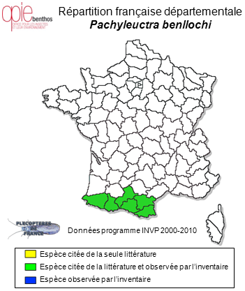 Carte de distribution de Pachyleuctra benllochi (Navás, 1917) *
