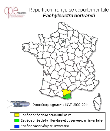 Carte de distribution de Pachyleuctra bertrandi Aubert, 1952 *