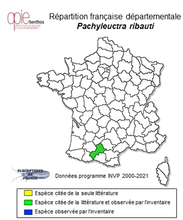 Carte de distribution de Pachyleuctra ribauti Despax, 1930 *