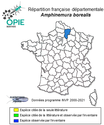 Carte de distribution de Amphinemura borealis (Morton, 1894)