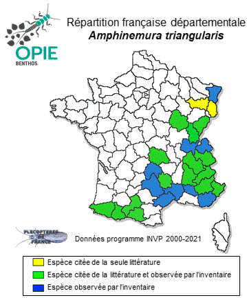 Carte de distribution de Amphinemura triangularis (Ris, 1902)