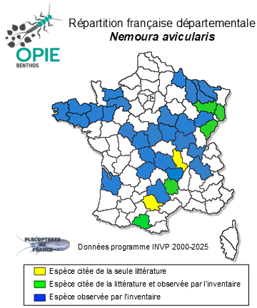 Carte de distribution de Nemoura avicularis Morton, 1894