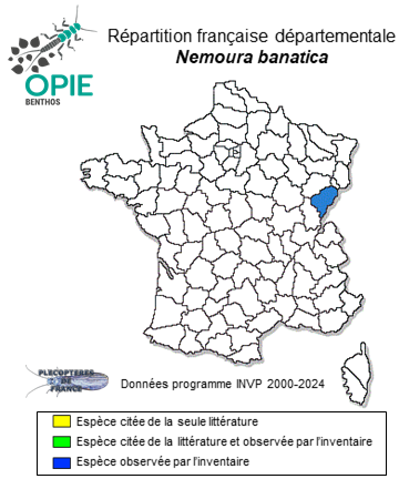 Carte de distribution de Nemoura banatica Kis, 1965