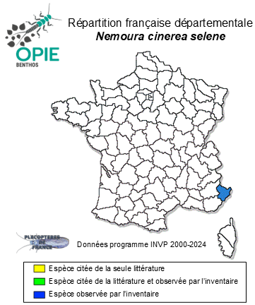 Carte de distribution de Nemoura cinerea selene Consiglio, 1959