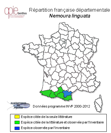 Carte de distribution de Nemoura linguata Navás, 1918 *