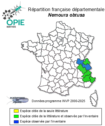 Carte de distribution de Nemoura obtusa Ris, 1902