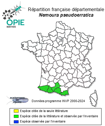 Carte de distribution de Nemoura pseudoerratica Vinçon & Pardo, 2003
