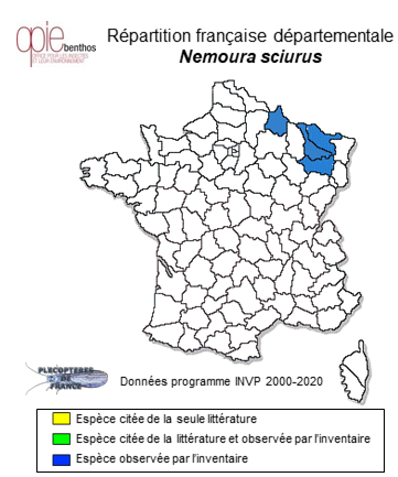 Carte de distribution de Nemoura sciurus Aubert, 1949