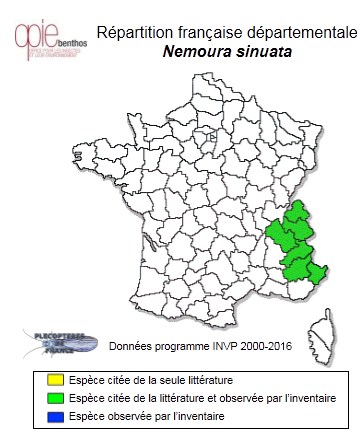 Carte de distribution de Nemoura sinuata Ris, 1902 *