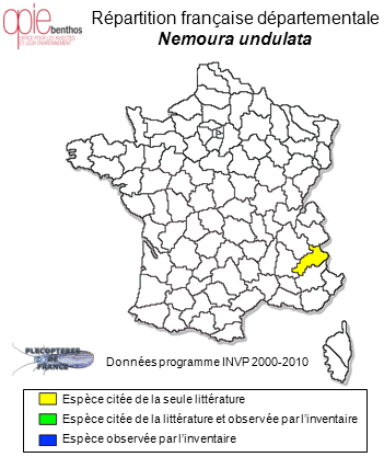 Carte de distribution de Nemoura undulata Ris, 1902 *