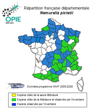 Carte de distribution de Nemurella pictetii Klapálek, 1900