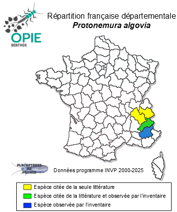 Carte de distribution de Protonemura algovia  Mendl, 1968 *