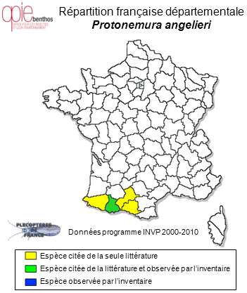 Carte de distribution de Protonemura angelieri Berthélemy, 1963 *