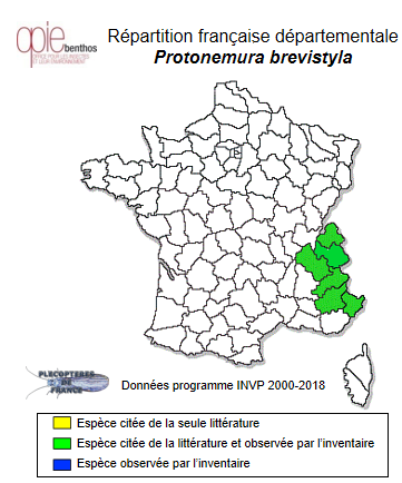 Carte de distribution de Protonemura brevistyla (Ris, 1902)