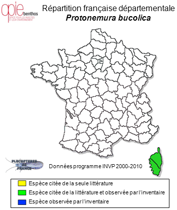 Carte de distribution de Protonemura bucolica (Consiglio, 1957) *