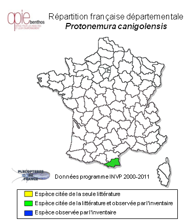 Carte de distribution de Protonemura canigolensis Zwick & Vinçon, 1993 *