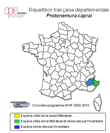 Carte de distribution de Protonemura caprai (Aubert, 1954)
