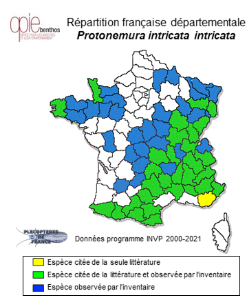 Carte de distribution de Protonemura intricata intricata (Ris, 1902)
