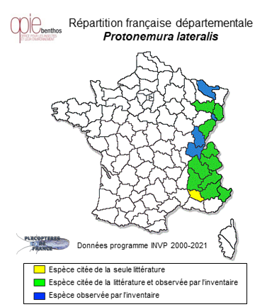 Carte de distribution de Protonemura lateralis (Pictet, 1836)