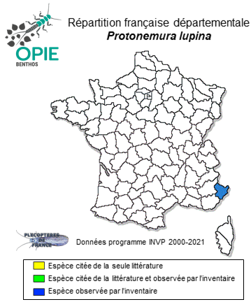 Carte de distribution de Protonemura lupina Vinçon & Reding, 2021