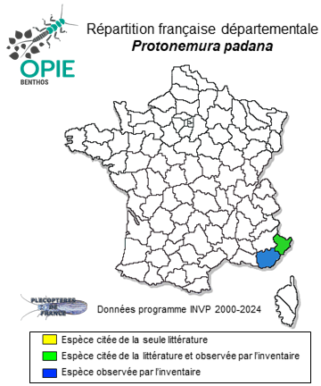Carte de distribution de Protonemura padana Vinçon & Ravizza, 2005