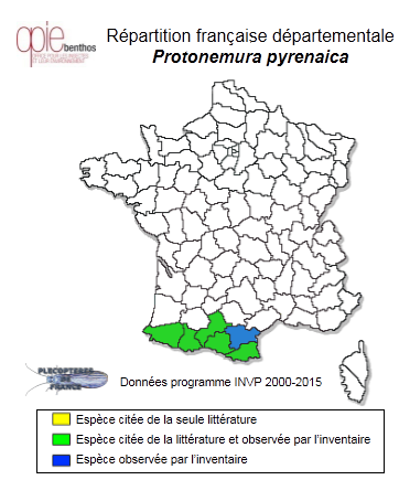 Carte de distribution de Protonemura pyrenaica (Mosely, 1930) *