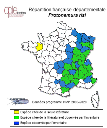 Carte de distribution de Protonemura risi (Jacobson & Bianchi, 1905)
