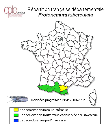 Carte de distribution de Protonemura tuberculata (Despax, 1929) *