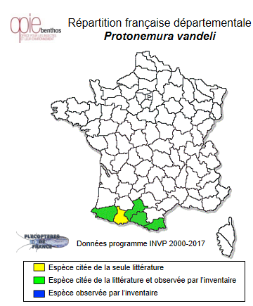 Carte de distribution de Protonemura vandeli Berthélemy, 1963 *
