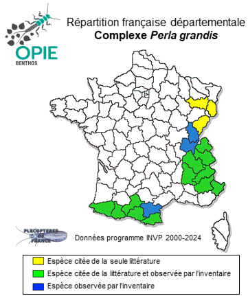 Carte de distribution de Complexe Perla grandis Rambur, 1842