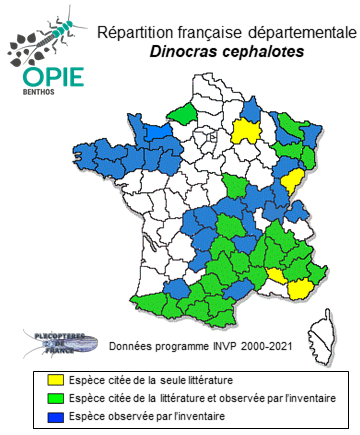 Carte de distribution de Dinocras cephalotes (Curtis, 1827)