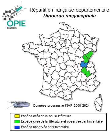 Carte de distribution de Dinocras megacephala (Klapálek, 1907)