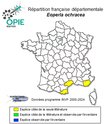 Carte de distribution de Eoperla ochracea (Kolbe, 1885)