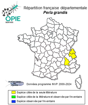 Carte de distribution de Perla grandis Rambur, 1842