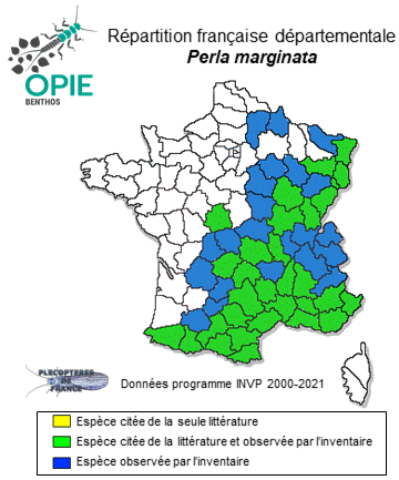 Carte de distribution de Perla marginata (Panzer, 1799)