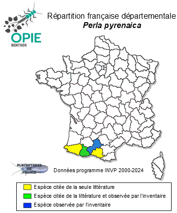 Carte de distribution de Perla pyrenaica Reding, 2023