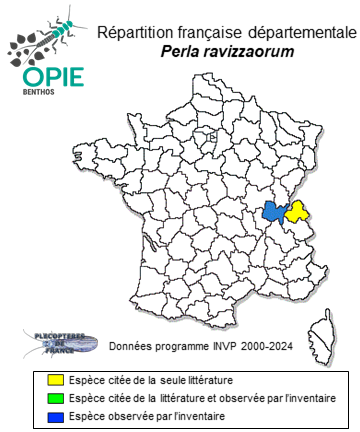 Carte de distribution de Perla ravizzaorum Reding, 2023