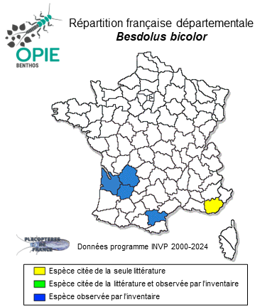 Carte de distribution de Besdolus bicolor (Navás, 1909)