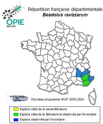 Carte de distribution de Besdolus ravizzarum Zwick & Weinzierl, 1995