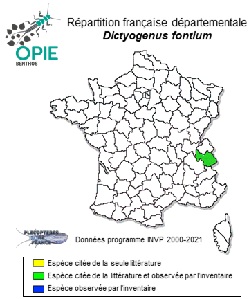 Carte de distribution de Dictyogenus fontium (Ris, 1896)