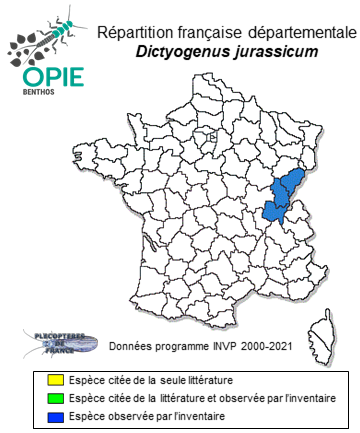 Carte de distribution de Dictyogenus jurassicum Reding et al., 2019