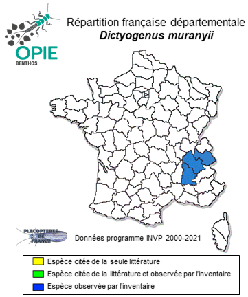 Carte de distribution de Dictyogenus muranyii Vinçon et al., 2019